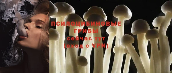 меф Арсеньев