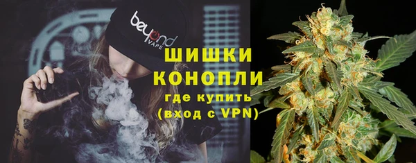 гашик Алексеевка