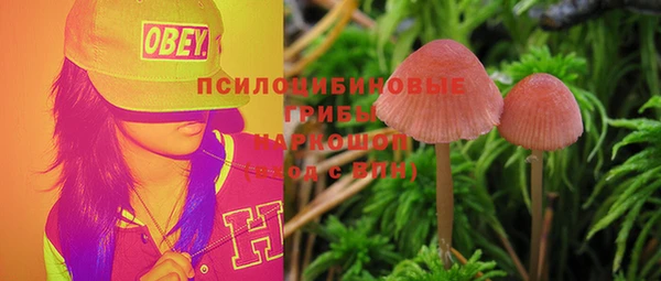 гашик Алексеевка